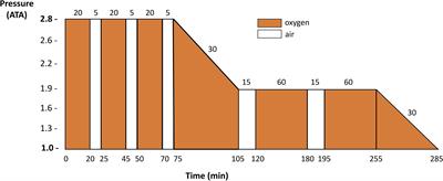 Environmental Physiology and Diving Medicine